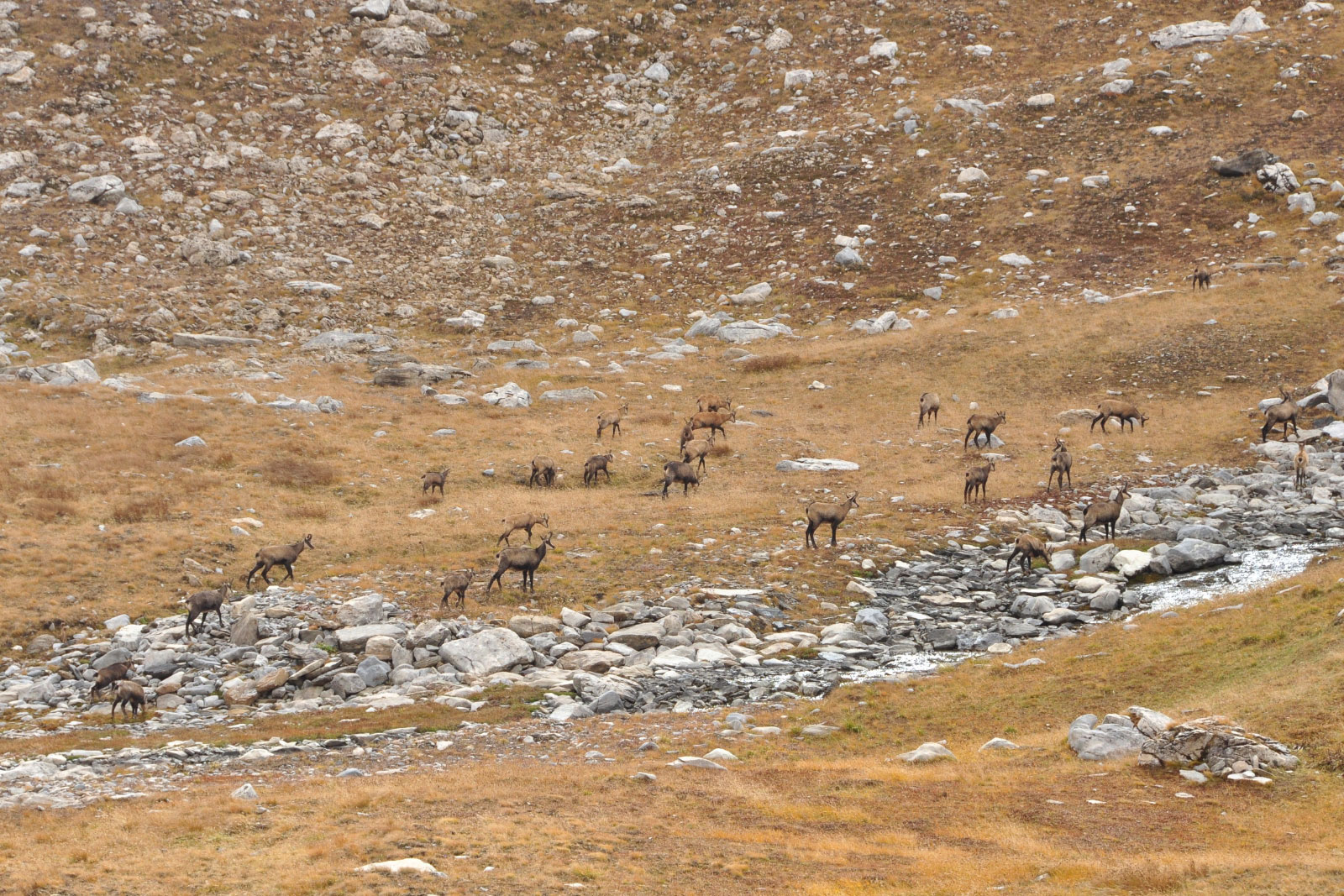 Pralognan-la-Vanoise